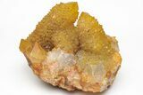 Sunshine Cactus Quartz Crystal Cluster - South Africa #212681-1